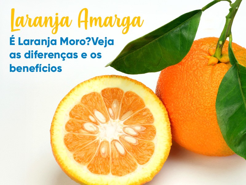 Laranja Amarga  Laranja Moro? Entenda as diferenas e benefcios  sade!